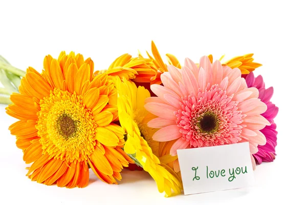 Bunch of different colored gerbera — Stock Photo, Image