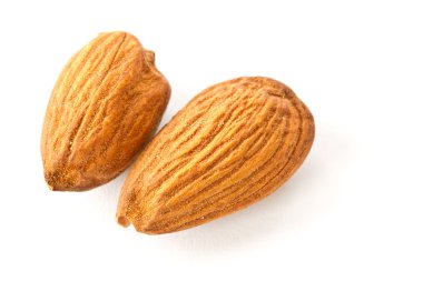 Almond clipart