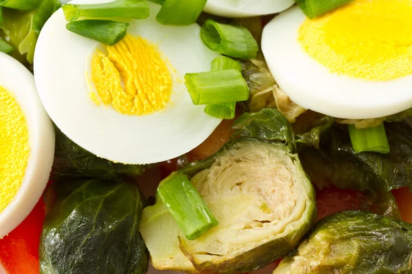 Spruiten salade met eieren — Stockfoto