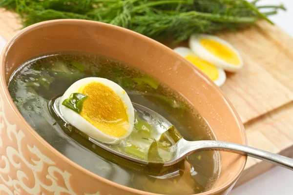 Green soup of sorrel — Stock Photo, Image