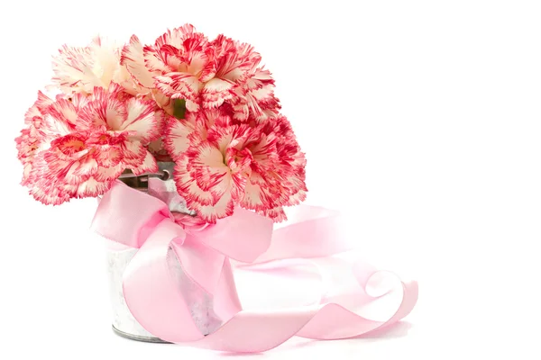 ピンクのカーネーションの花 — ストック写真