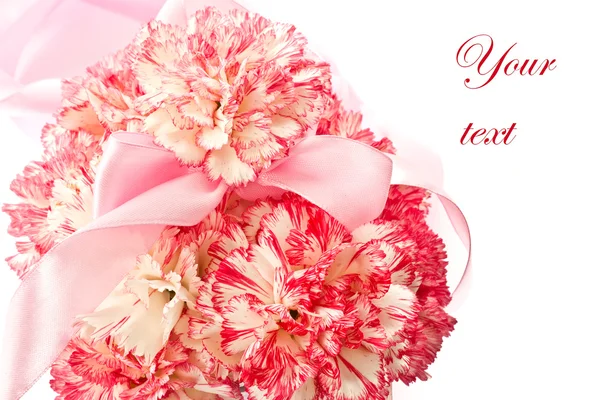 Квітучі рожевій гвоздиці — стокове фото