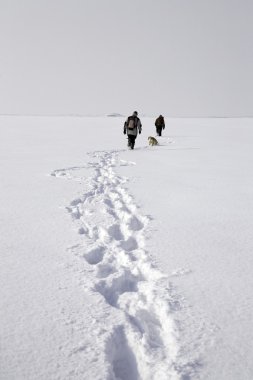 Trekking at snowy plain clipart