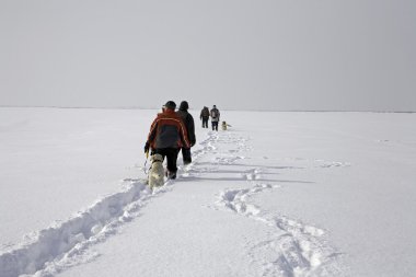 karlı düz trekking