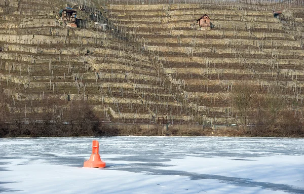 stock image Vineyards and frozen river