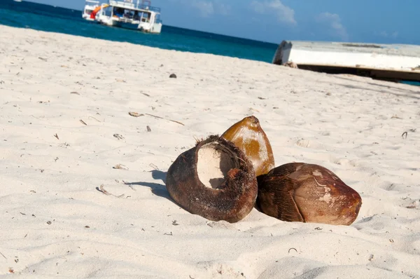 Still Life - kelapa di pantai pasir putih tropis — Stok Foto