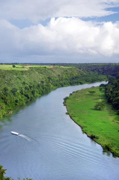 在多米尼加共和国的丛林河的热带风景 — 图库照片