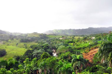 Orman, Dominik Cumhuriyeti