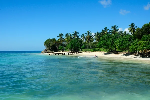 ドミニカ共和国サマナの半島の素晴らしい熱帯のビーチ — ストック写真