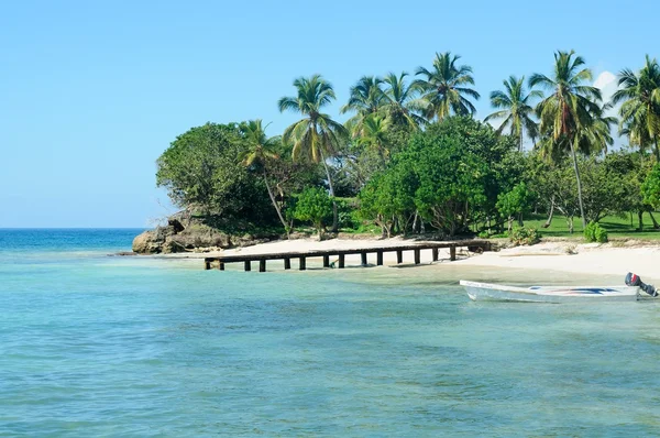 Пляж Фараль на пеньке Самана в Доминиканской Республике — стоковое фото