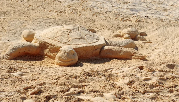 Żółw, piasek, plaża — Zdjęcie stockowe