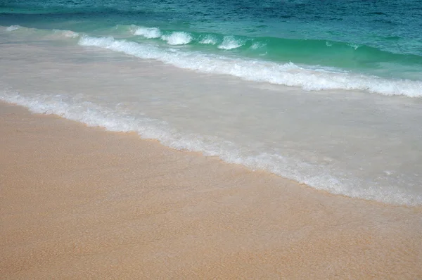 Písečná pláž — Stock fotografie