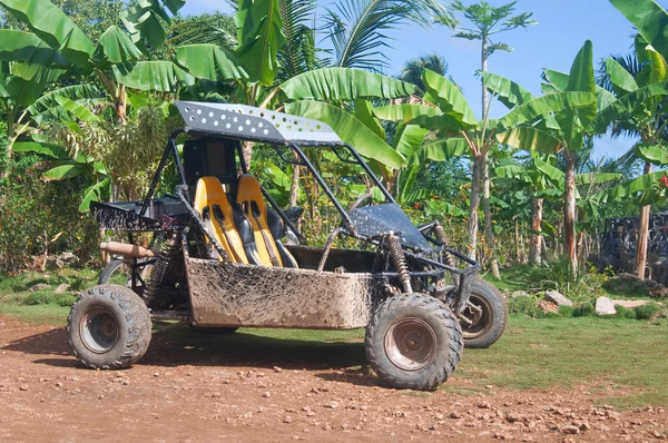 Buggy on the track of Tropical — Stock Photo, Image
