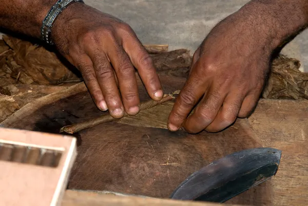 Manufacture of cigars at the tobacco factory in the Dominican Republic — Stock Photo, Image