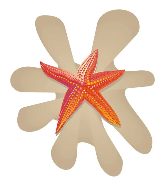 Estrella de mar aislada en blanco — Archivo Imágenes Vectoriales