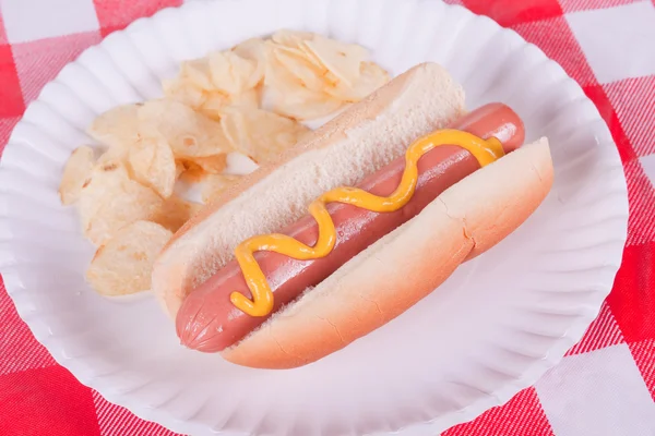 Hot Dog With Mustard — Stock Photo, Image
