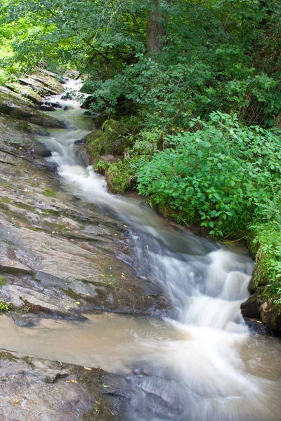 stock image Snake Like River