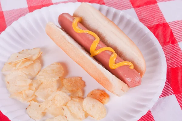 Hot Dog And Chips — Stock Photo, Image
