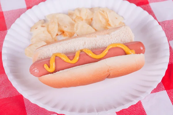 Hot Dog And Potato Chips — Stock Photo, Image
