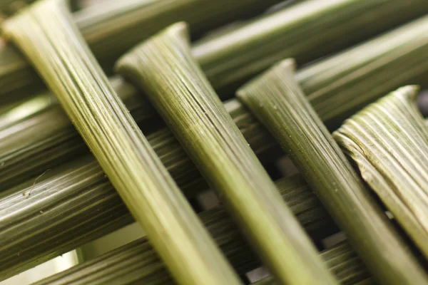 Macro wheat stem — Stock Photo, Image