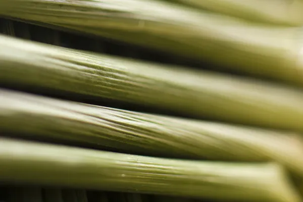 Macro wheat stem — Stock Photo, Image
