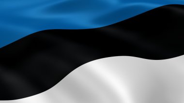 Estonian flag in the wind clipart