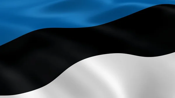 바람에 에스토니아 깃발 — 스톡 사진