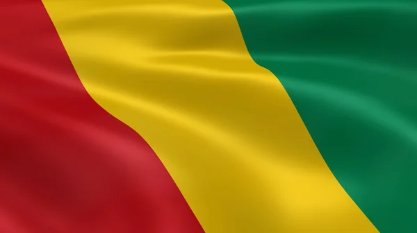 Guineansk flagg i vinden – stockfoto