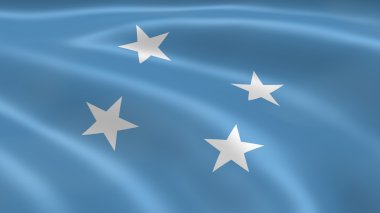 Micronesian flag in the wind clipart
