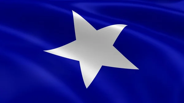 風の中のボニーの青い旗 — ストック写真