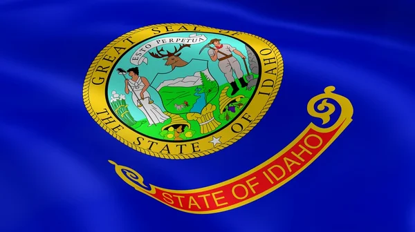 Idahoan flag i vinden - Stock-foto