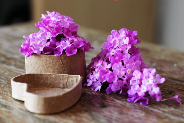 Spring paarse bloemen — Stockfoto