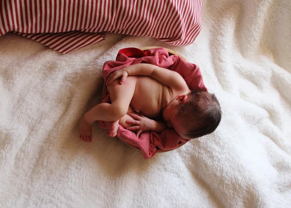 아기 수 면 — 스톡 사진