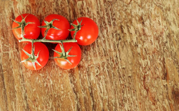 stock image Branch of fresh tomato