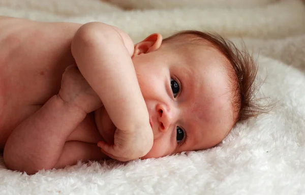 Dos meses de edad, adorable bebé —  Fotos de Stock