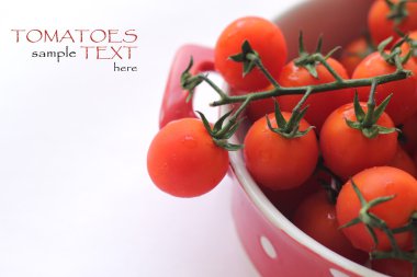 su damlaları ile domates