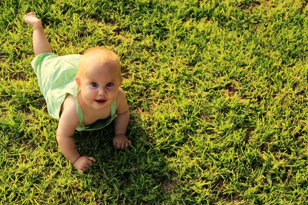 Menina bonita de 8 meses explorando o mundo. Início do Outono, co — Fotografia de Stock