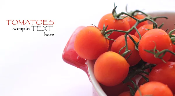 stock image Tomatoes with water drops