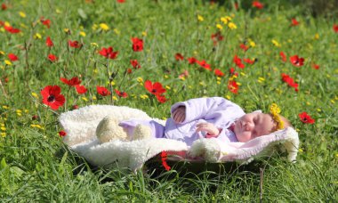 Month-old girl lying on white blanket next to the red poppies clipart