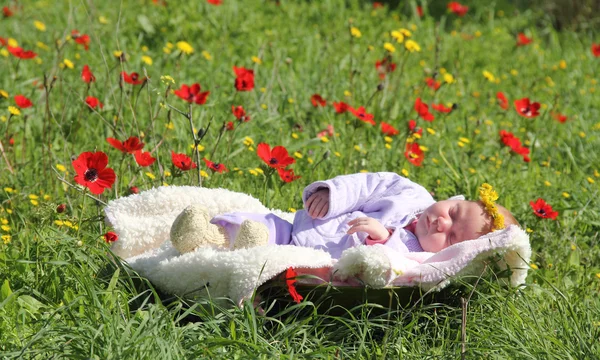 Meisje van de maand-oude liggend op witte deken naast de rode papavers — Stockfoto