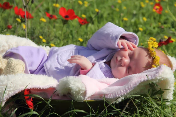 月岁女孩躺在白色的毯子的红罂粟 — 图库照片