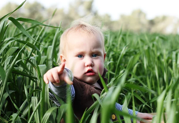 Toddler in the green grass — Stock Photo, Image