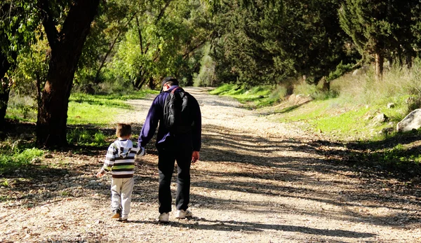 父と息子の春の森を歩く — ストック写真