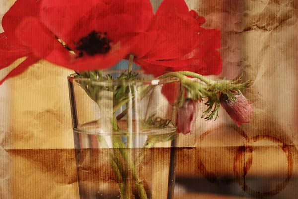 Flores de primavera vermelhas em um copo — Fotografia de Stock