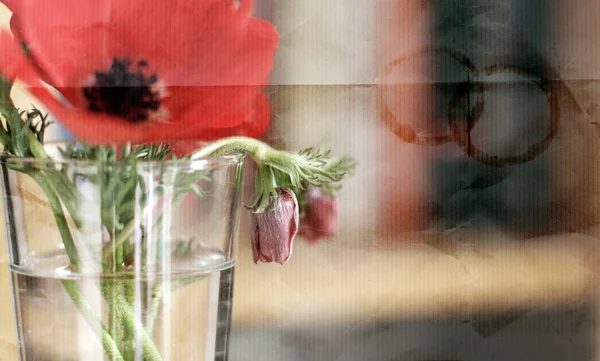 Červená jarní květiny ve sklenici — Stock fotografie