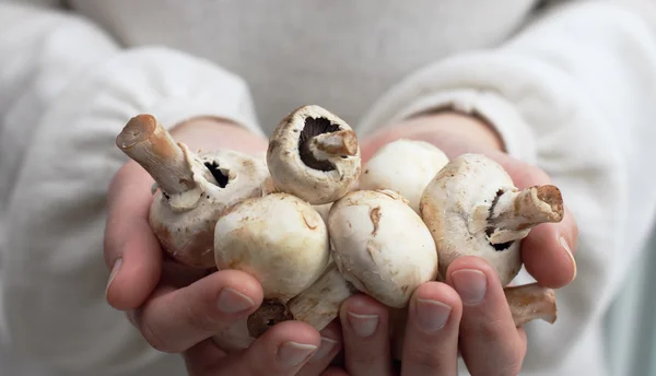 stock image Woman holding mushroom. Concept - Simple Life.