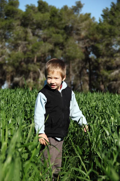 Niño en el campo verde — Foto de Stock