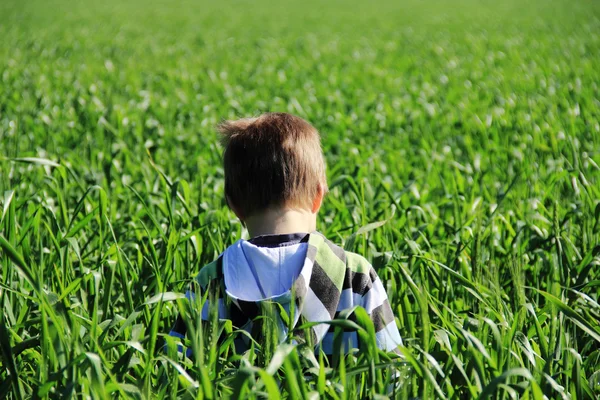 Chlapec v zeleném poli — Stock fotografie