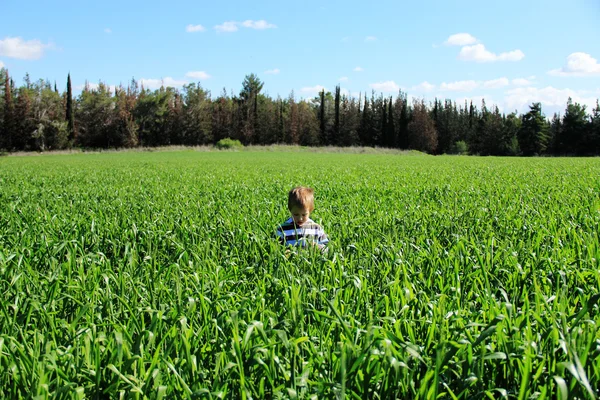 Мальчик в зеленом поле — стоковое фото
