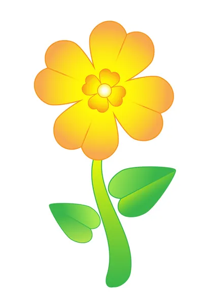 buttercup flower yellow buttercup flower yellow